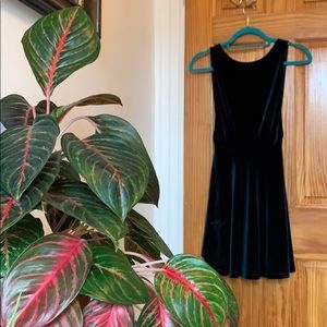 American Apparel Velvet Skater Open Back Minidress